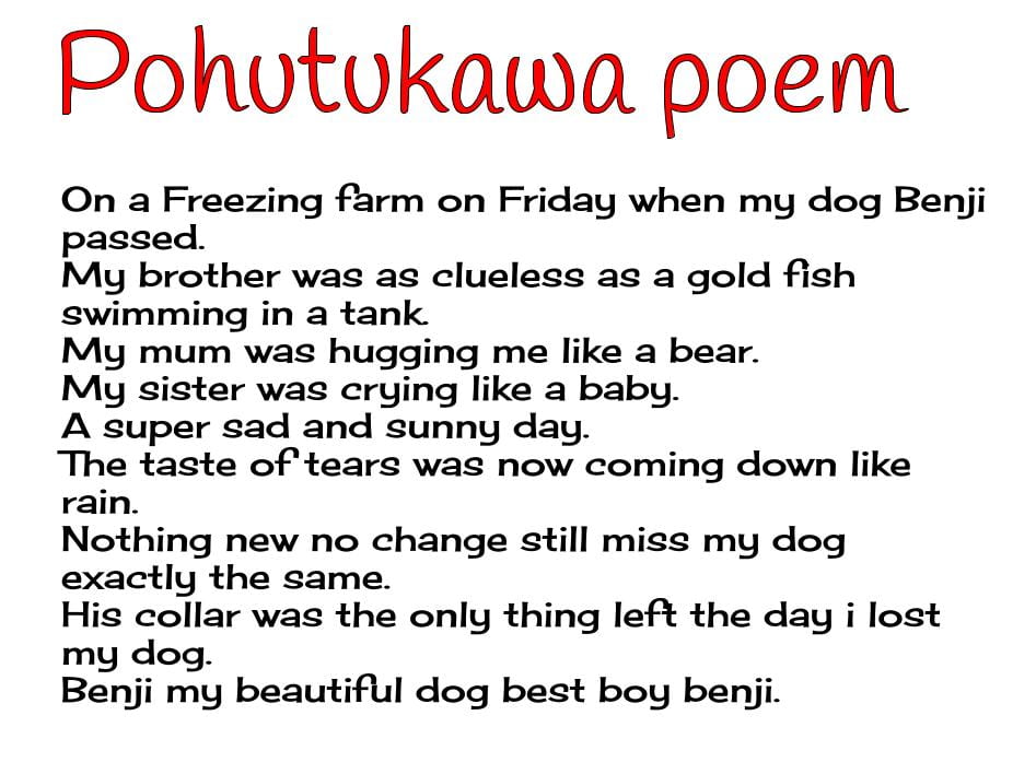 Pouhutukawa Poem – Calla @ Ohaeawai School